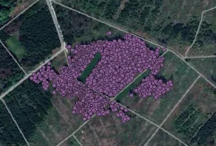 Automatic tree recognition from orthophotos - 5 of 5
